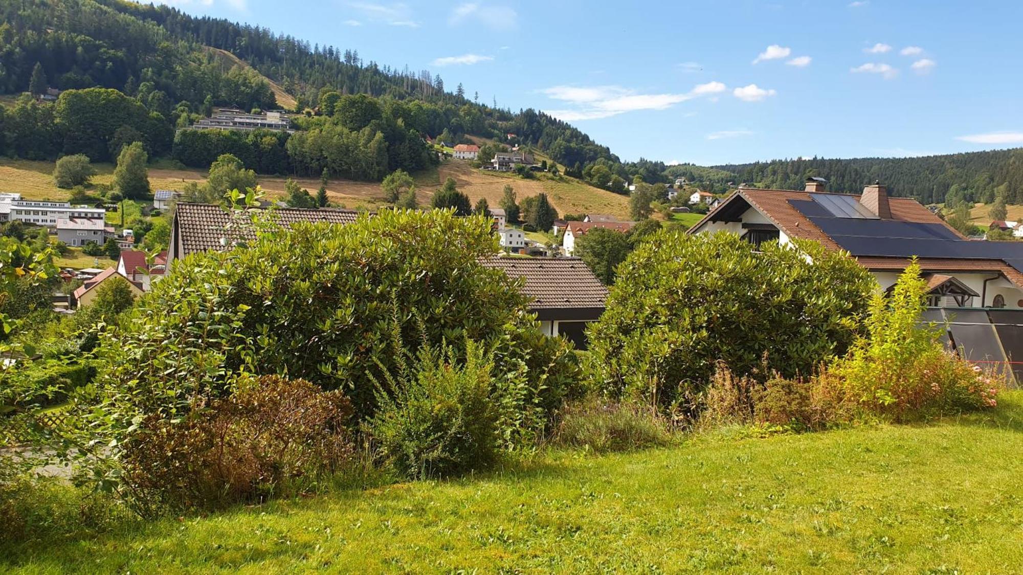 Green Hills Holiday House Warmensteinach Zewnętrze zdjęcie